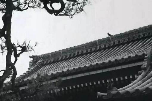 乌台诗案与王安石变法有什么关系?乌台诗案的肇事诗原文 乌台诗案与王安石变法有什么关系?乌台诗案的肇事诗原文